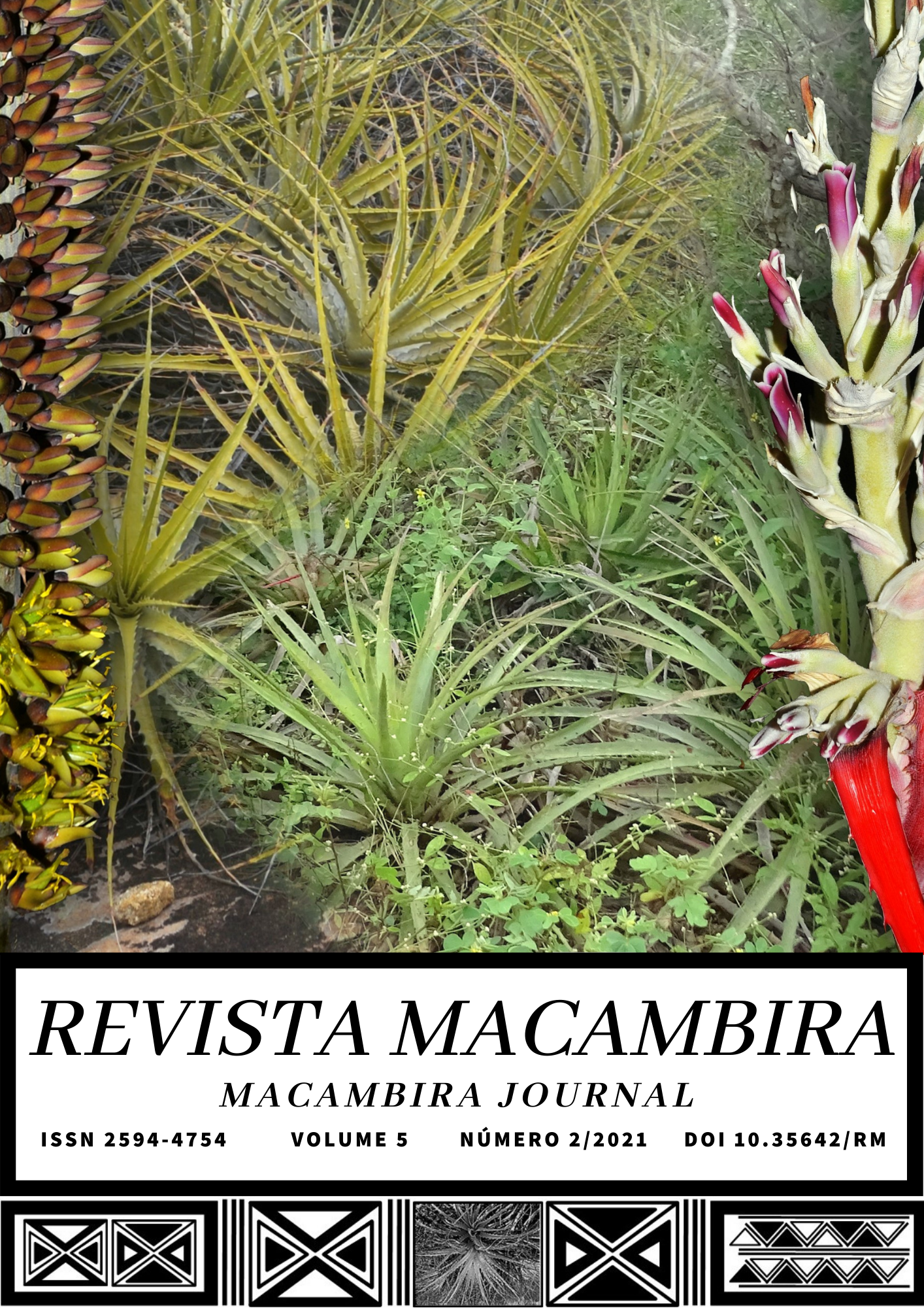 					View Vol. 5 No. 2 (2021): Revista Macambira
				